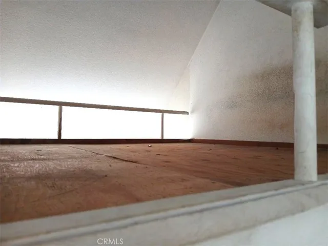 a potted plant sitting in front of a house