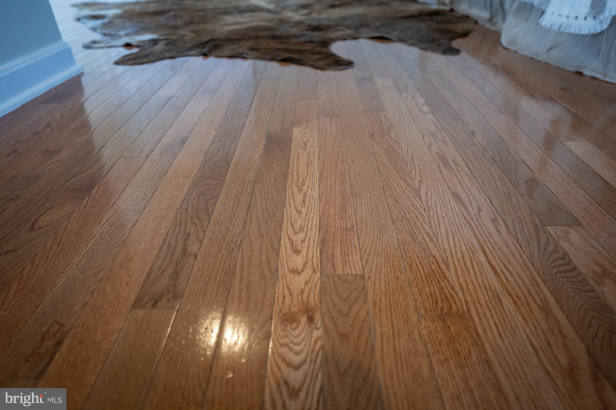 8469 Kenton Road Pasadena, MD 21122 - Photo 27 of 61 Gallery Image 27