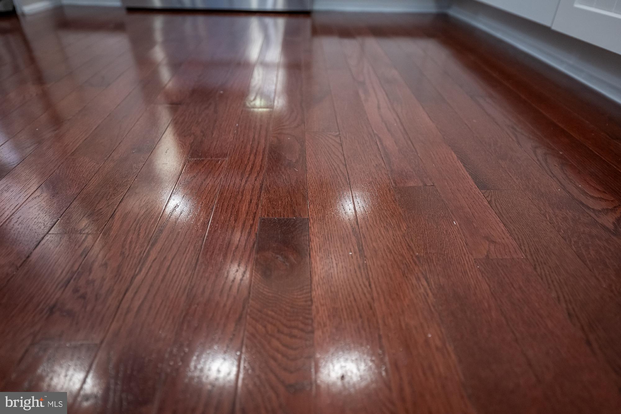 8469 Kenton Road Pasadena, MD 21122 - Photo 7 of 61 Gallery Image 7