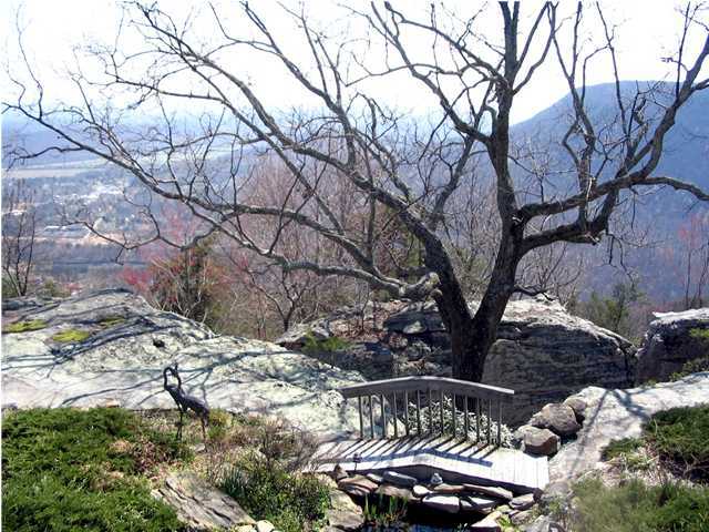 8608 Brow Lake Road Soddy Daisy, TN 37379 - Photo 7 of 7 Additional Photo