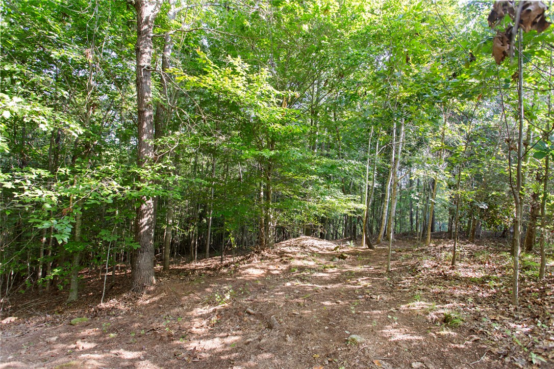 Lot 17 Sunset Ridge/ Paramount Drive Seneca, SC 29678 - Photo 7 of 19 Gallery Image 7