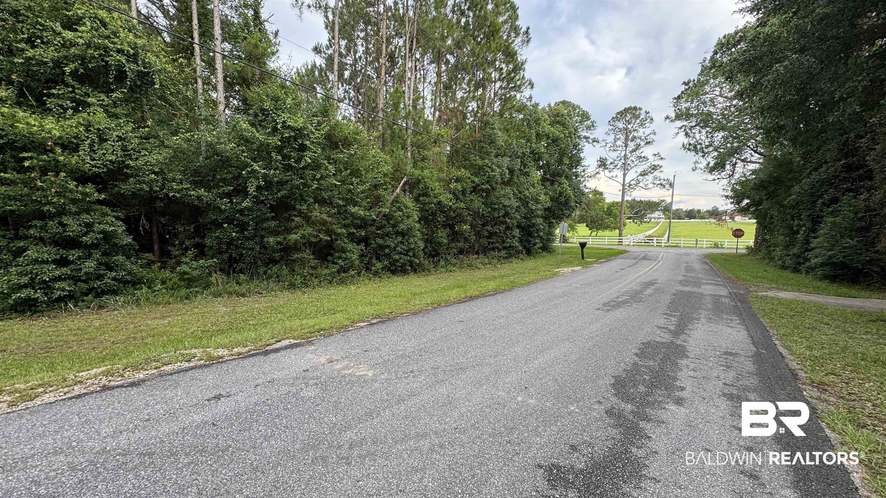 0 Bohling Street Elberta, AL 36530 - Photo 11 of 23 View of asphalt road with traffic signs