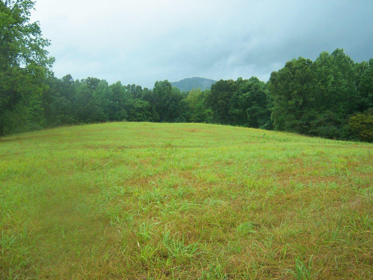 5302 Union Church Road Thaxton, VA 24174 - Photo 1 of 4 a view of field with trees in the background