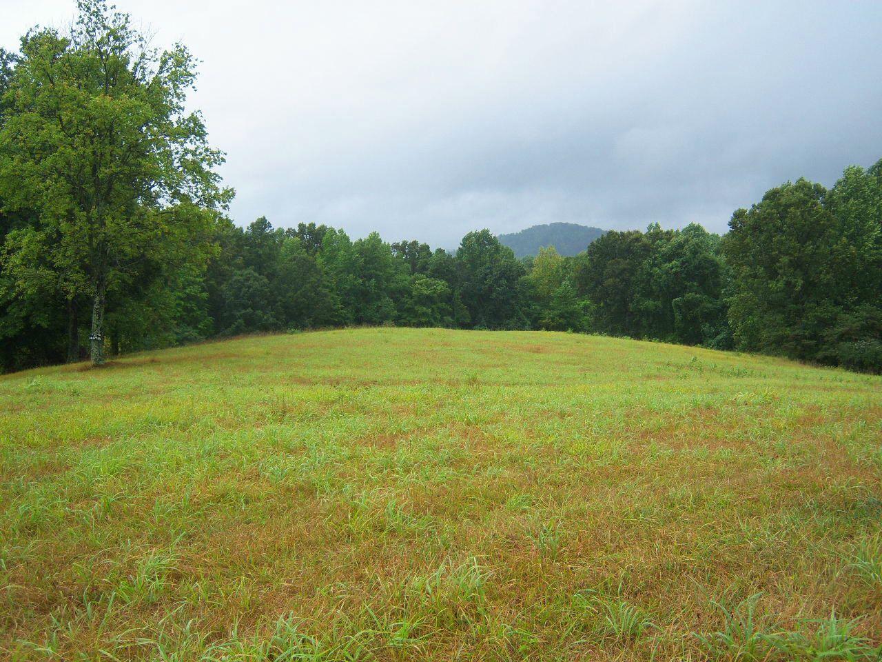5302 Union Church Road Thaxton, VA 24174 - Photo 2 of 4 a view of a field with trees in the background