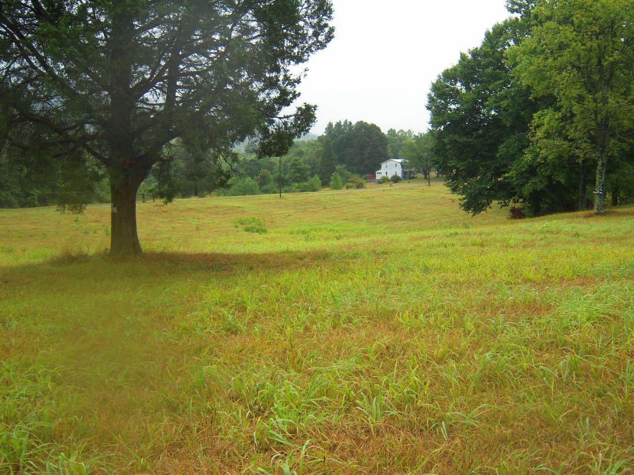 5302 Union Church Road Thaxton, VA 24174 - Photo 3 of 4 a view of a yard with a large trees