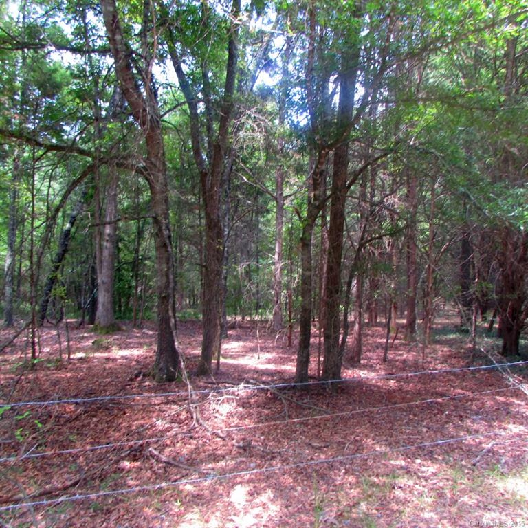 5 Faires Road Rock Hill, SC 29732 - Photo 8 of 13 Gallery Image 8