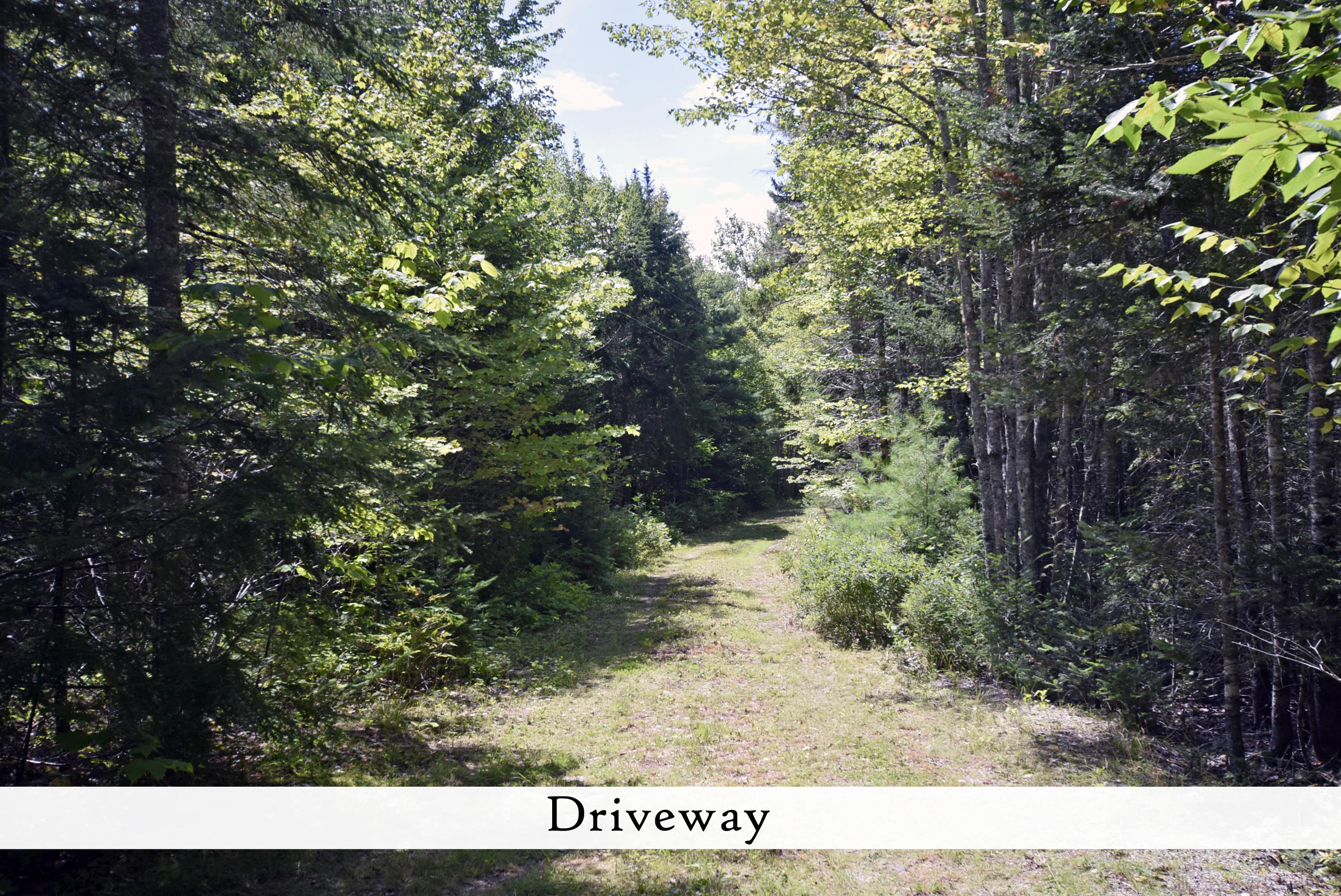 Lot 32 Graves Road Franklin, ME 04634 - Photo 12 of 21 driveway 2, label