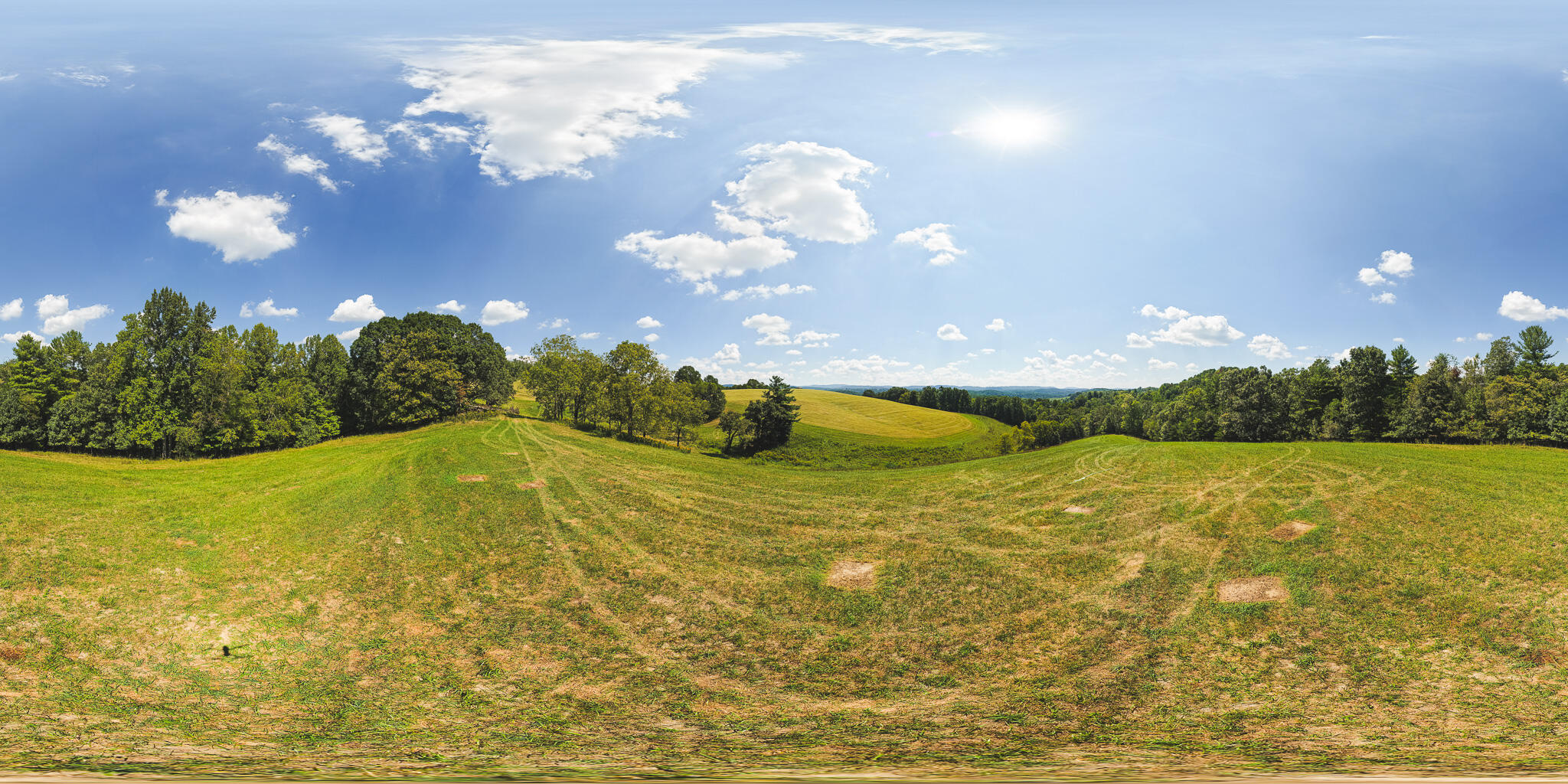 5902 Chestnut Ridge Road Riner, VA 24149 - Photo 17 of 50 DJI_20260903134154_0960_D