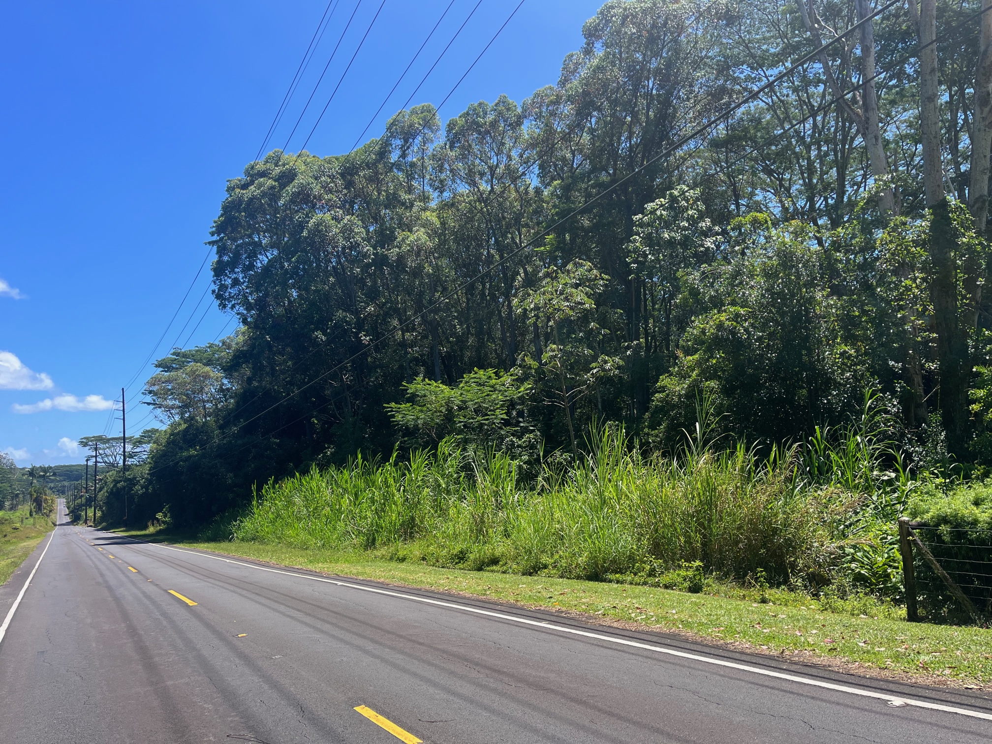 Lot D Akolea Road Hilo, HI 96720 - Photo 11 of 14 a view of a garden