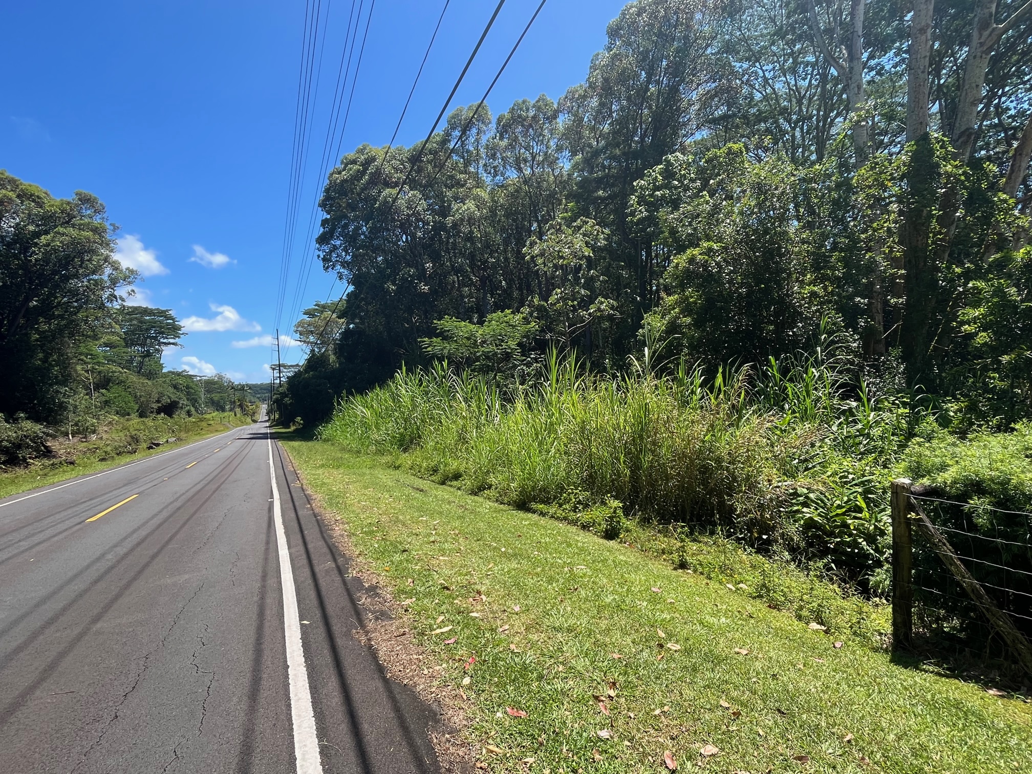 Lot D Akolea Road Hilo, HI 96720 - Photo 12 of 14 a view of a garden