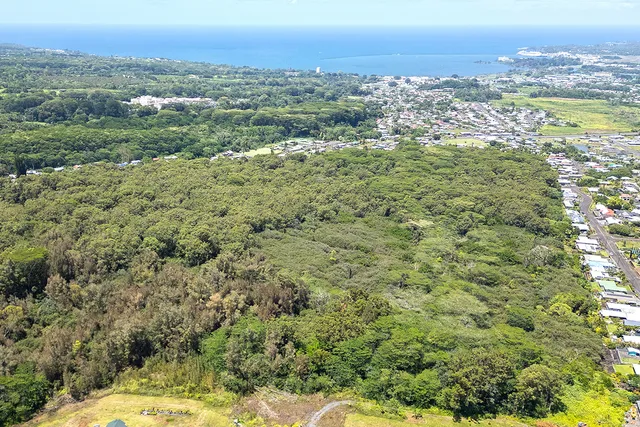 a view of a city with lush green forest
