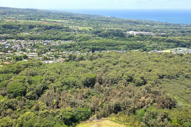 a view of a city with an ocean