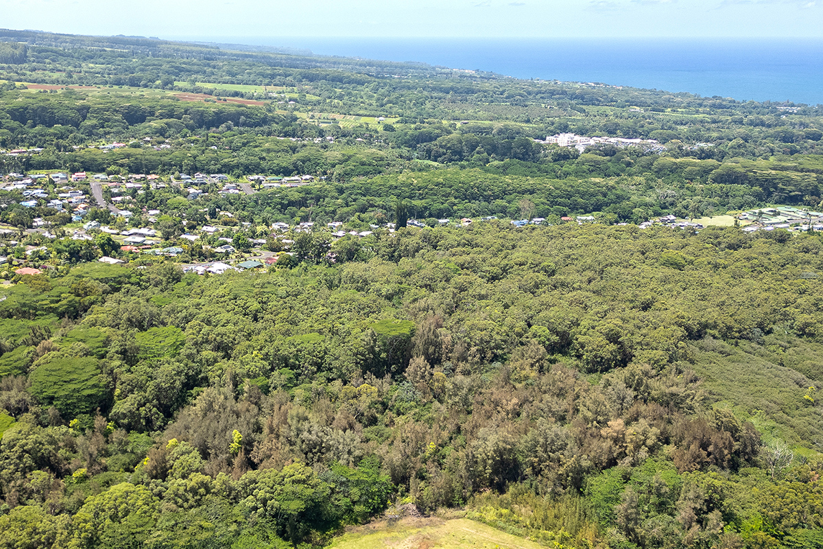 Lot D Akolea Road Hilo, HI 96720 - Photo 3 of 14 a view of a city with lush green forest