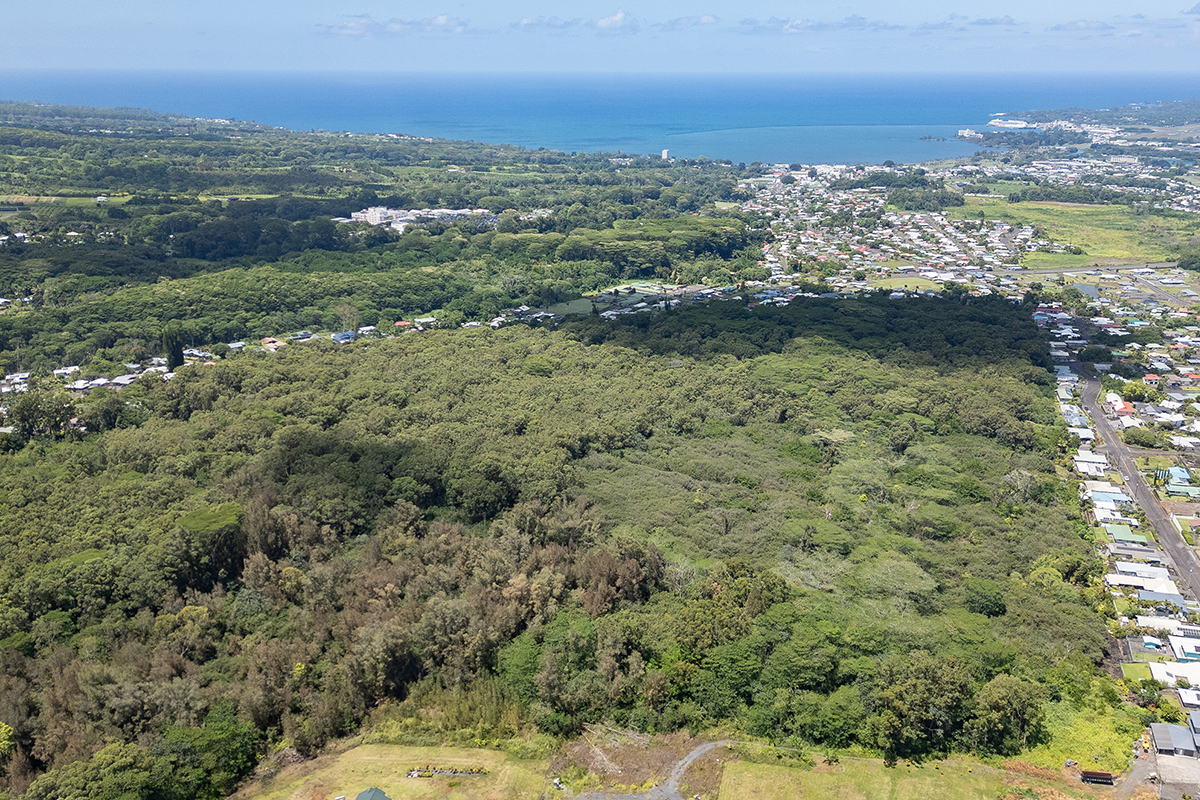 Lot D Akolea Road Hilo, HI 96720 - Photo 8 of 14 a view of city and ocean