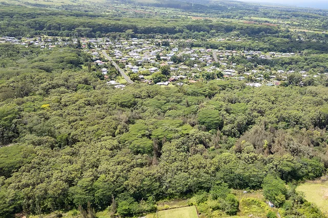 a view of outdoor space with city view