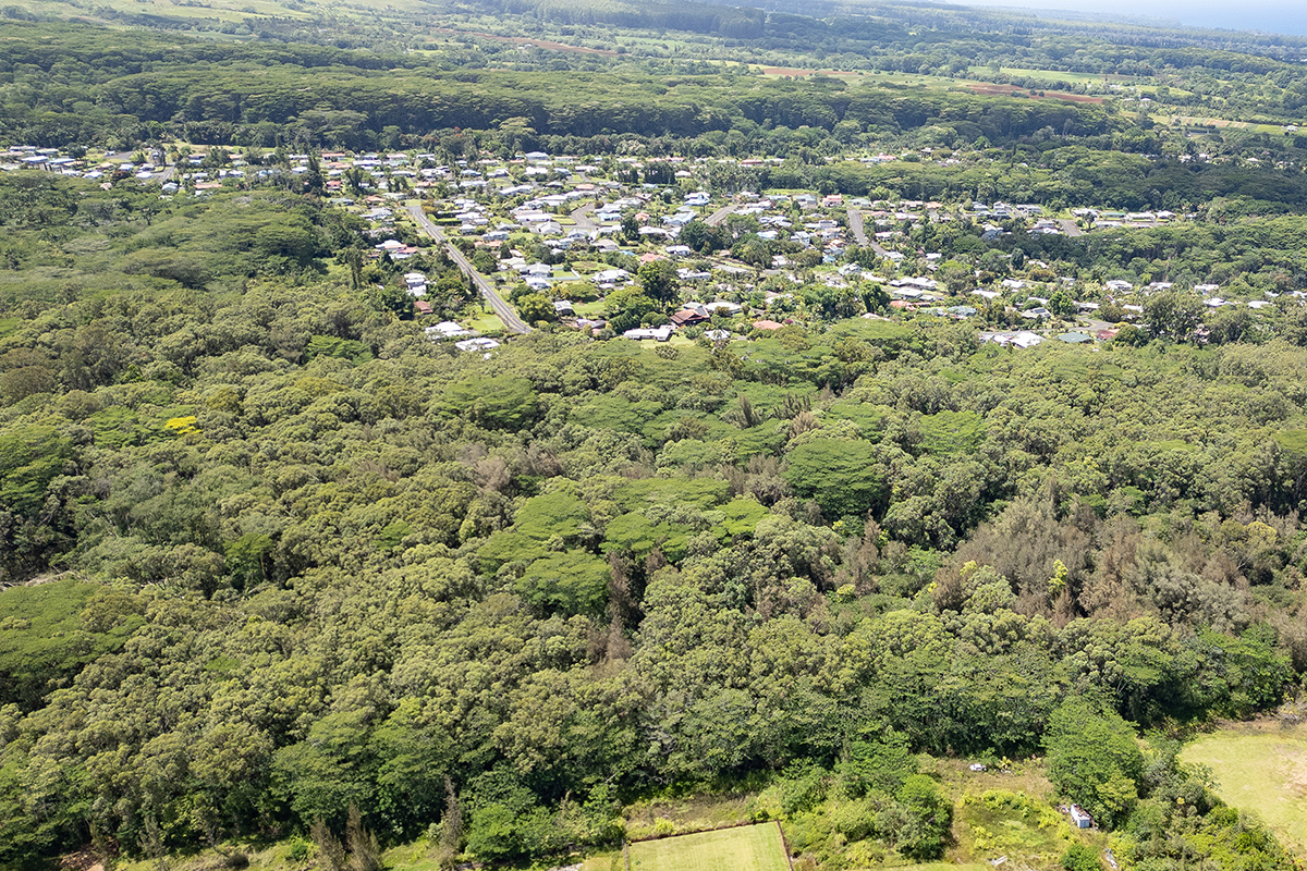 Lot D Akolea Road Hilo, HI 96720 - Photo 9 of 14 a view of a yard with an outdoor space