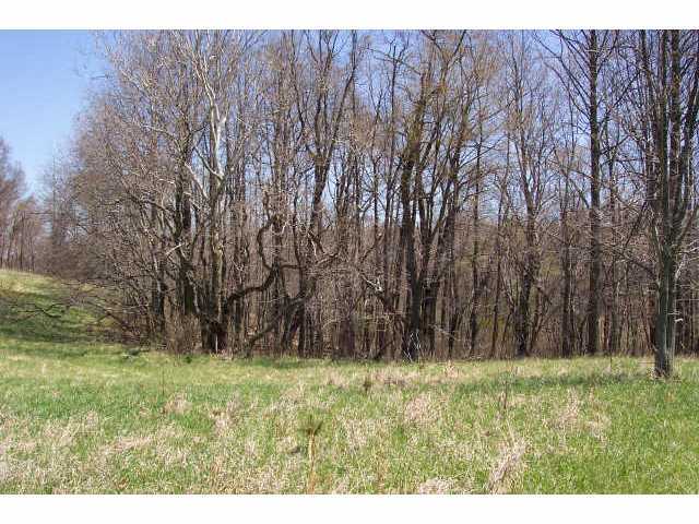 0 Southeast Pumpstation Road, Unit LOT13 Sugar Grove, OH 43155 - Photo 2 of 6