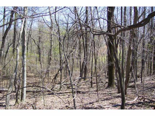 0 Southeast Pumpstation Road, Unit LOT13 Sugar Grove, OH 43155 - Photo 3 of 6