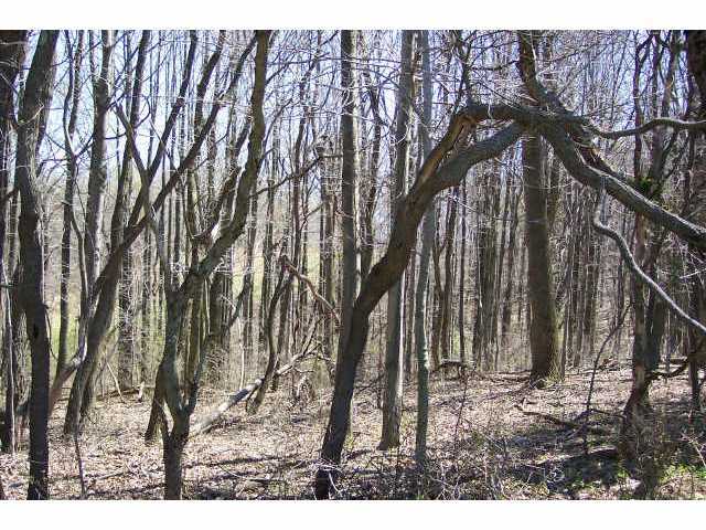 0 Southeast Pumpstation Road, Unit LOT13 Sugar Grove, OH 43155 - Photo 4 of 6