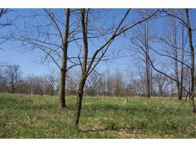0 Southeast Pumpstation Road, Unit LOT13 Sugar Grove, OH 43155 - Photo 5 of 6