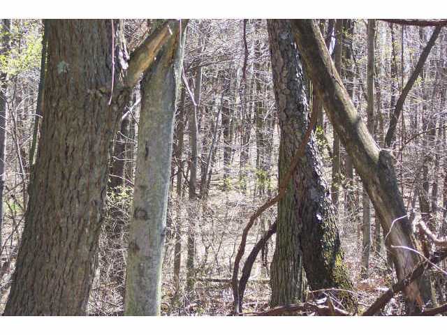 0 Southeast Pumpstation Road, Unit LOT13 Sugar Grove, OH 43155 - Photo 6 of 6