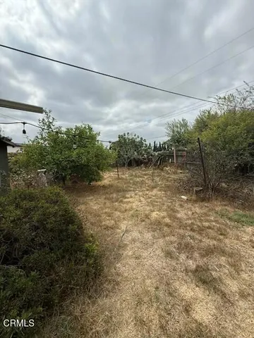a view of a yard with plants
