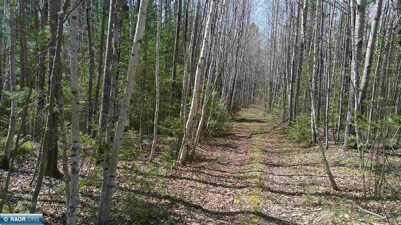 Tbd Parcel Y Tbd Parcel Y Frazer Bay Road Cook, MN 55723 - Photo 2 of 15