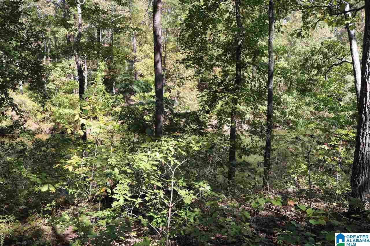 41 Fishers Way, Unit 41 Vincent, AL 35178 - Photo 5 of 6