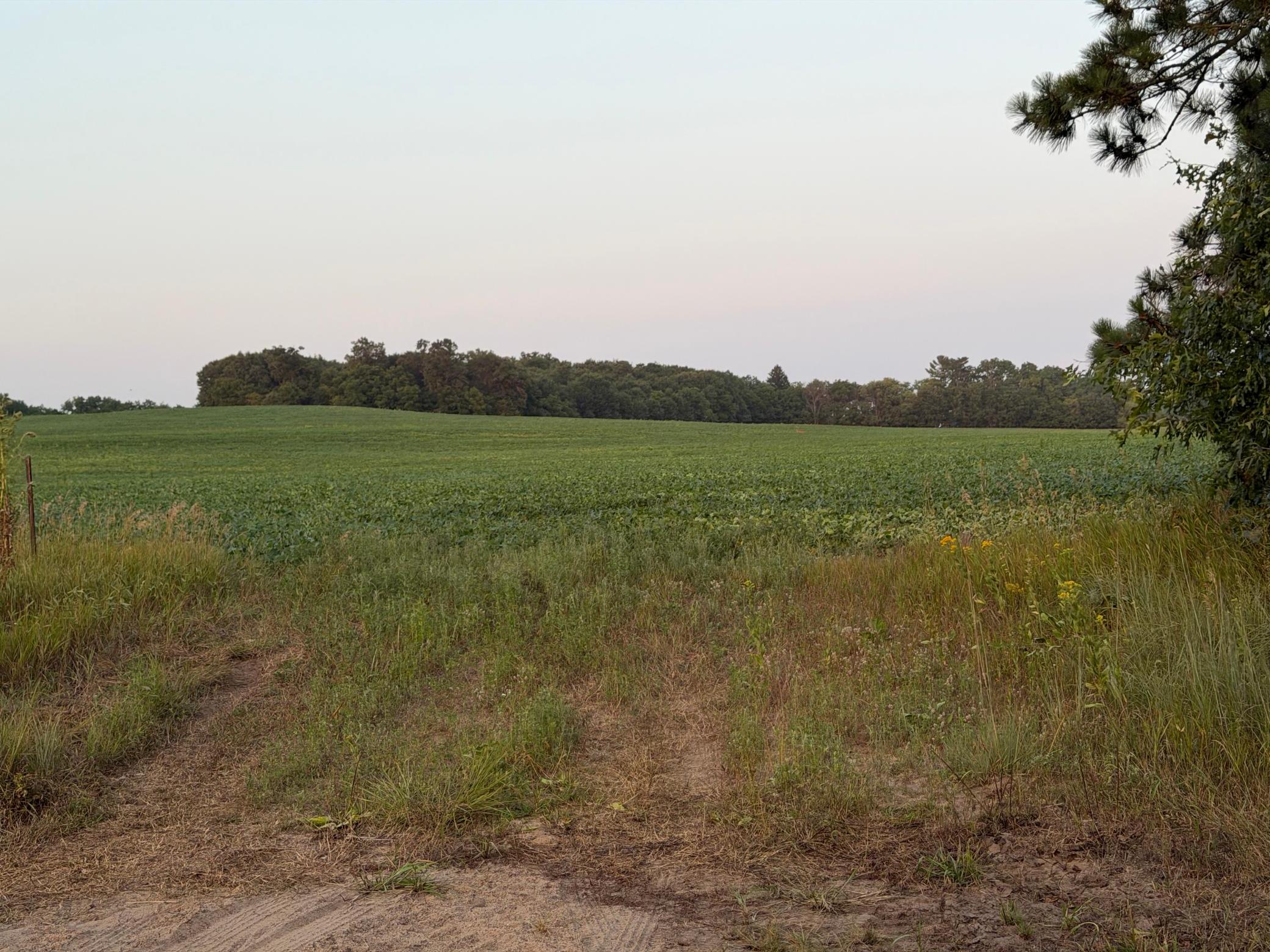N12900 County G Road Osseo, WI 54758 - Photo 17 of 22 Gallery Image 17