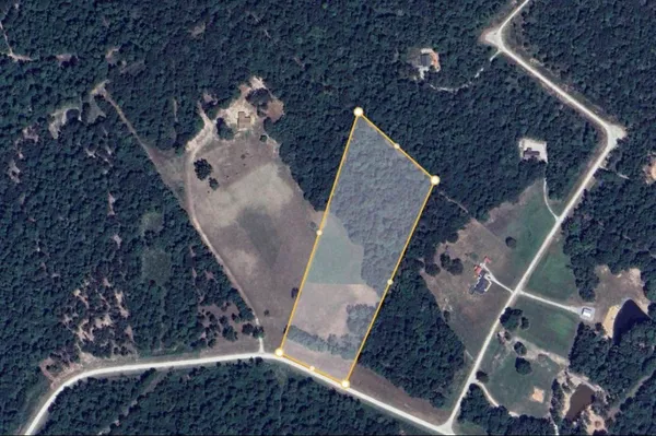 a view of a tree in a yard