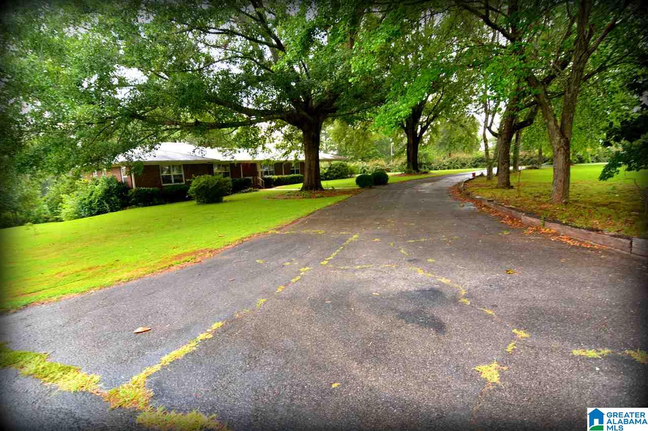 128 Rabbit Branch Road Cropwell, AL 35054 - Photo 47 of 50