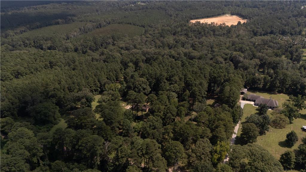 204 Holt Road Pollock, LA 71467 - Photo 10 of 20