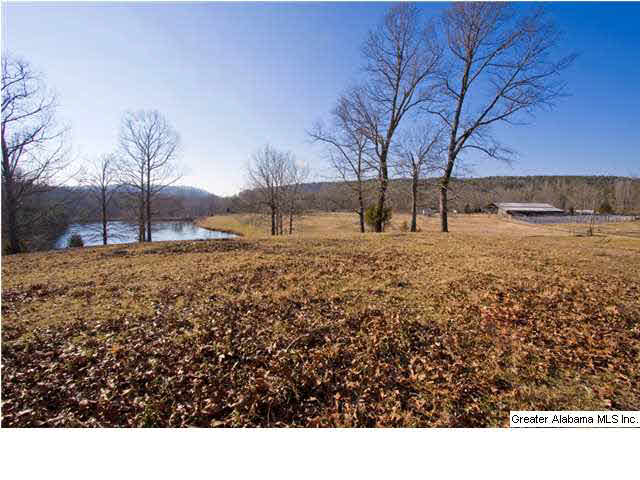 905 Smith Road Oneonta, AL 35121 - Photo 28 of 30