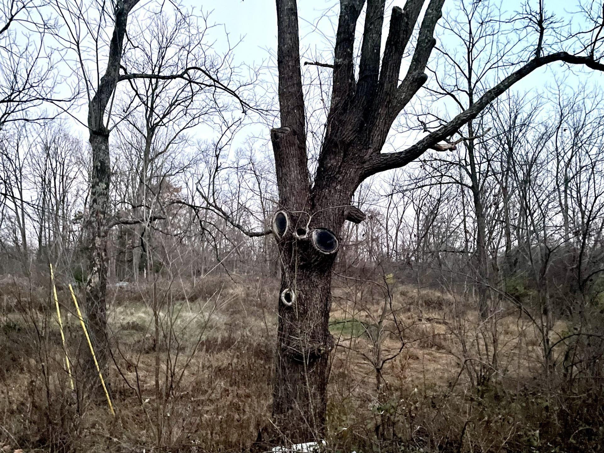 13022 Rte 9W New Baltimore, NY 12192 - Photo 5 of 8 Photo 5