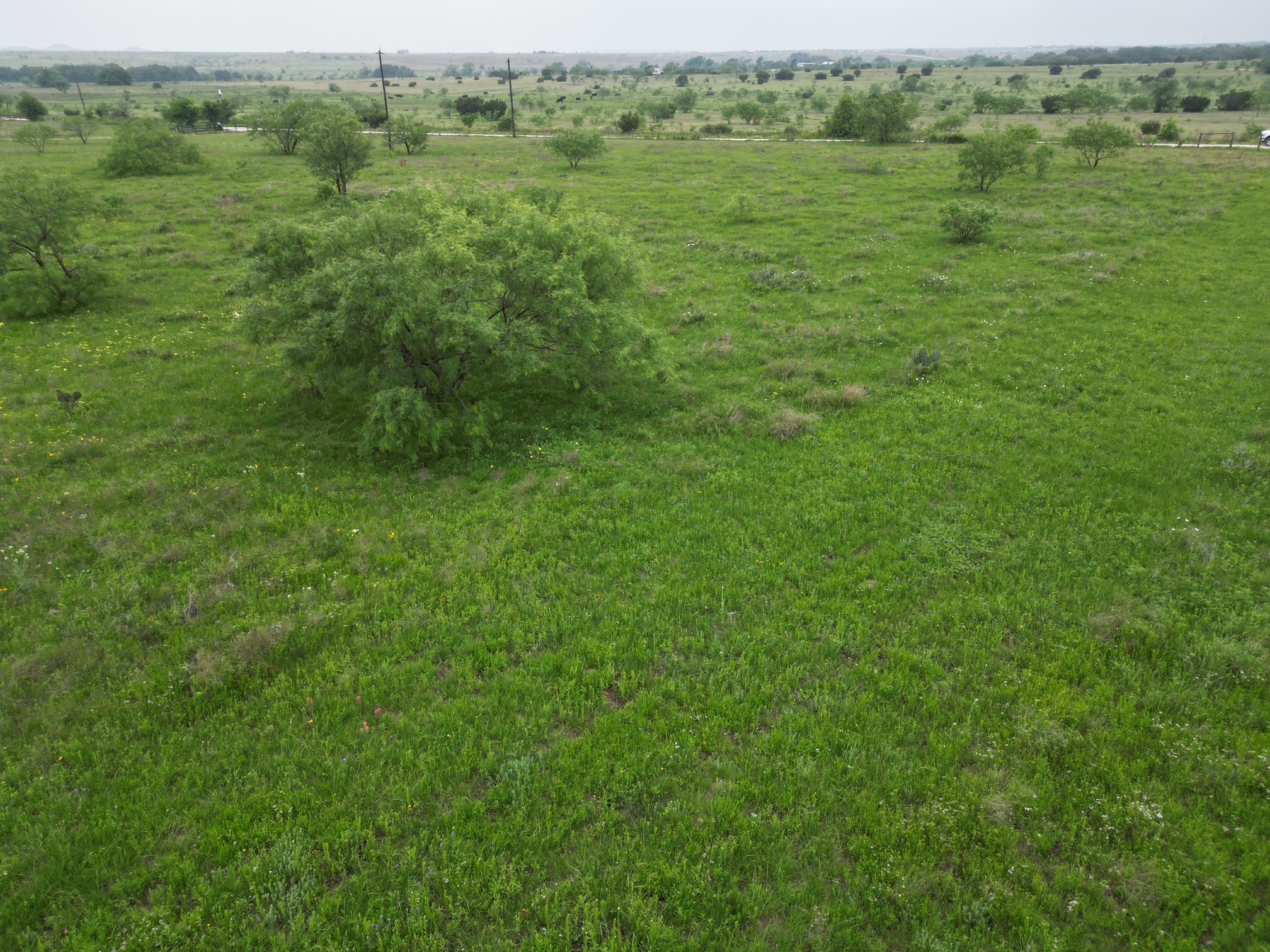 2332 County Road 2109 Lometa, TX 76853 - Photo 12 of 16 a view of a lush green outdoor space with a lake view