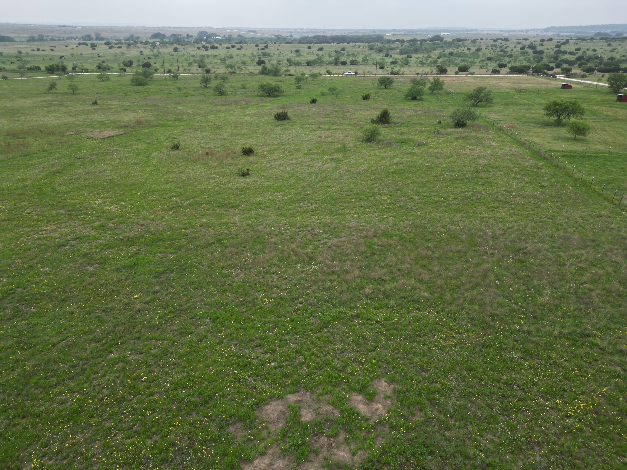 2332 County Road 2109 Lometa, TX 76853 - Photo 3 of 16 a view of a lush green field