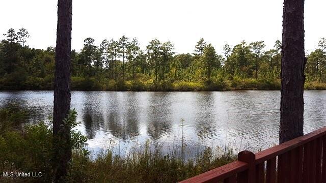 0 Bob Simpson Road Poplarville, MS 39470 - Photo 5 of 9 169504_5