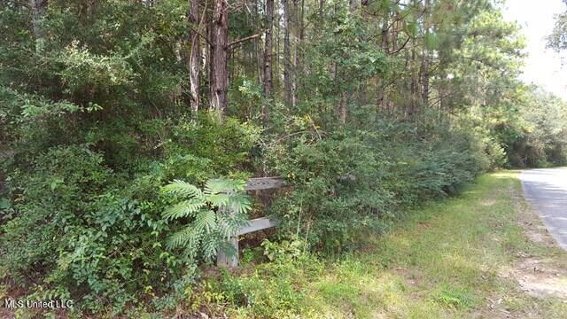 0 Bob Simpson Road Poplarville, MS 39470 - Photo 9 of 9 169504_9