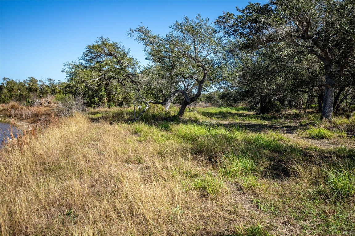504 Shaver Road Aransas Pass, TX 78336 - Photo 20 of 40