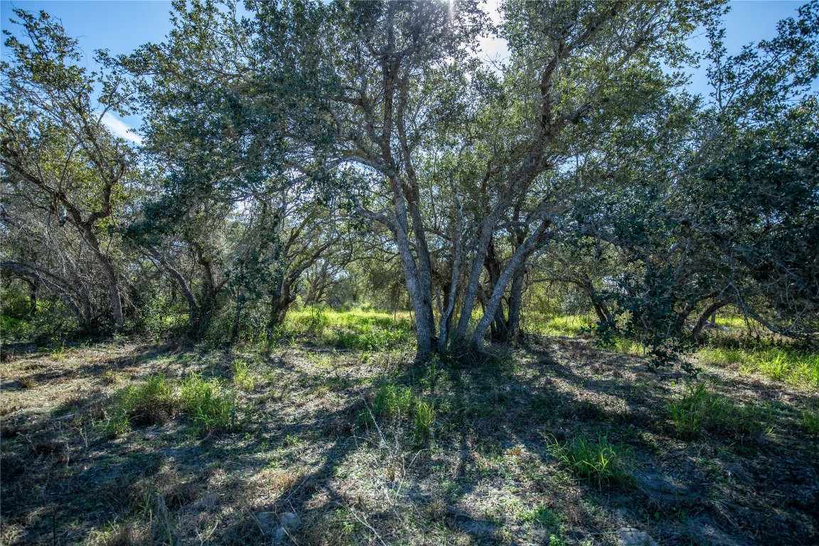 504 Shaver Road Aransas Pass, TX 78336 - Photo 27 of 40
