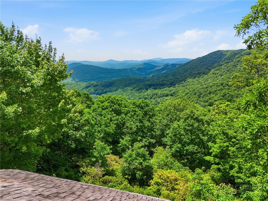 319 Sundance Road Todd, NC 28684 - Photo 2 of 50