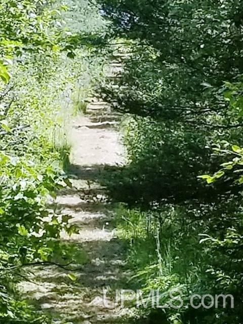 704 Net River Access Road Amasa, MI 49903 - Photo 34 of 36