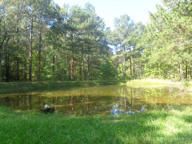 1015 Dry Grove Road Crystal Springs, MS 39059 - Photo 27 of 31 Photo 28