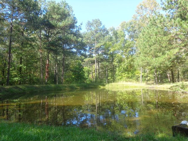 1015 Dry Grove Road Crystal Springs, MS 39059 - Photo 28 of 31 Photo 29