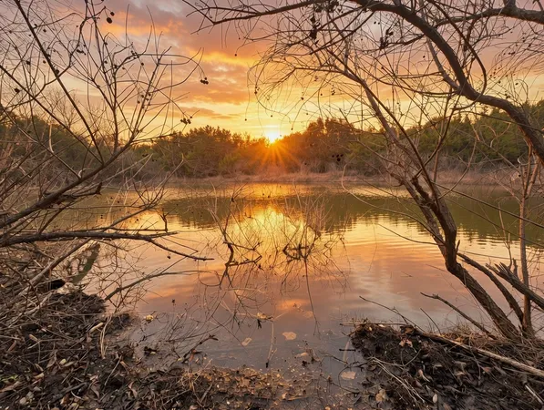 a view of lake