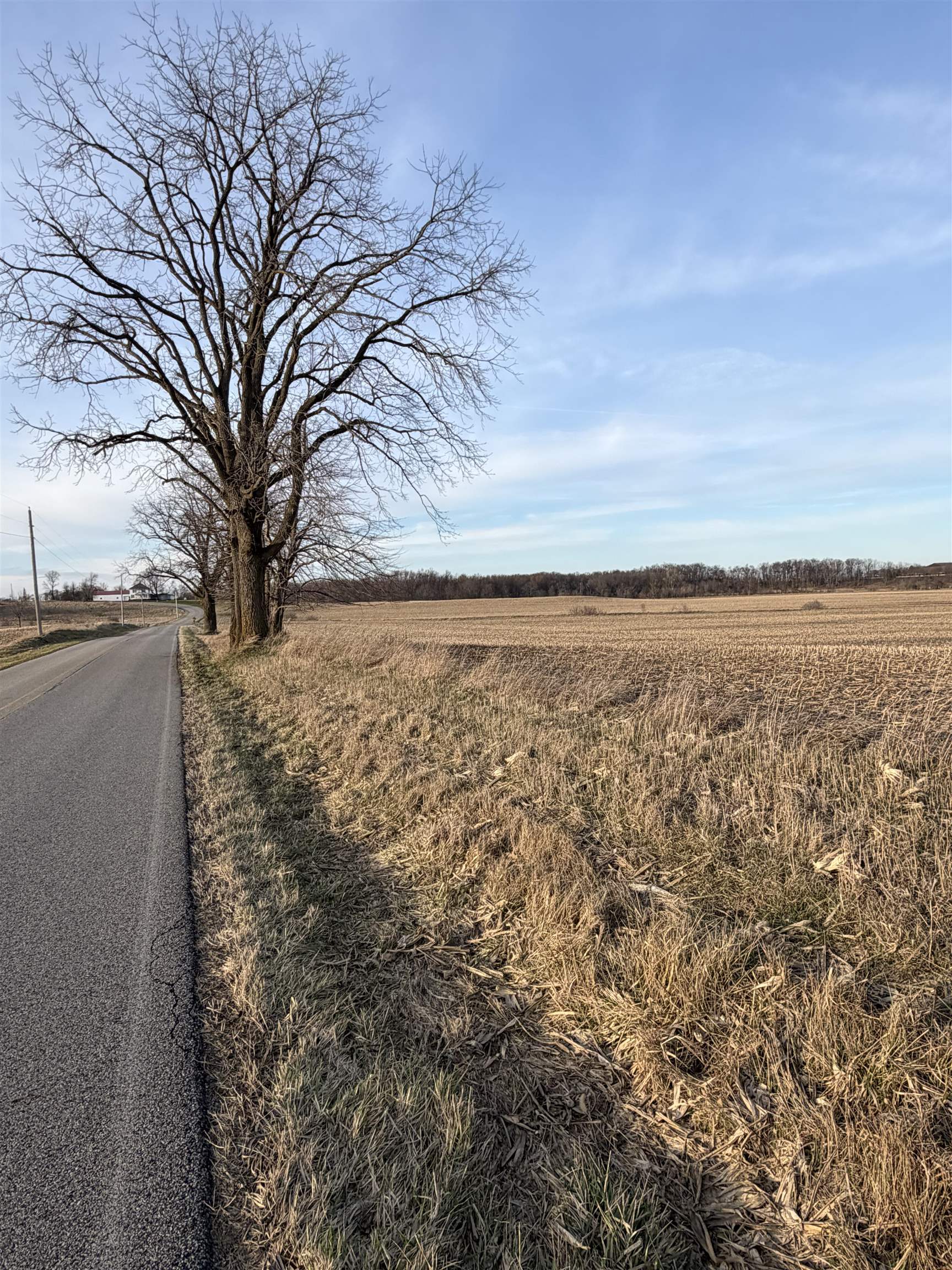 0 South Bill Deller Road Angola, IN 46703 - Photo 6 of 11