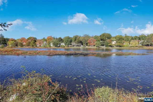 a view of lake with green space