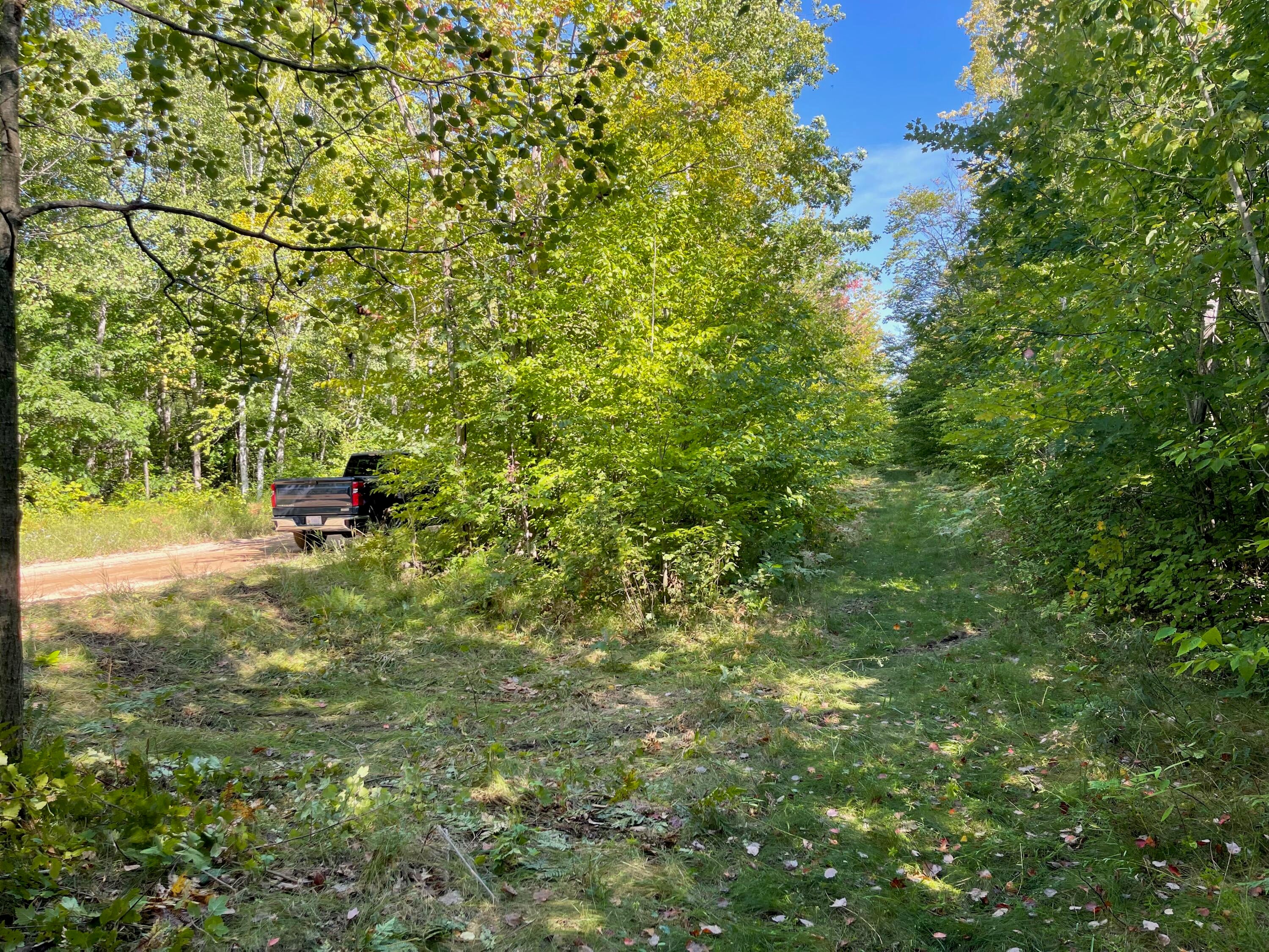Amoco Road Gaylord, MI 49735 - Photo 4 of 16 Gallery Image 4
