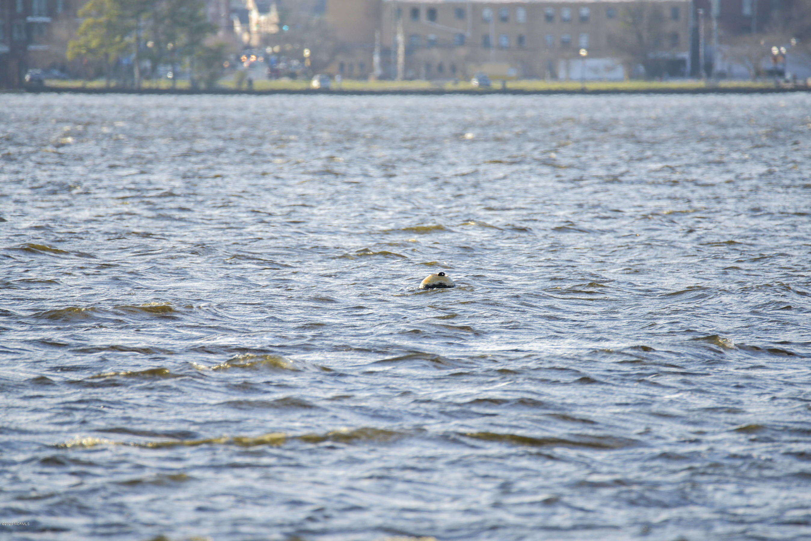 417 Riverside Drive New Bern, NC 28560 - Photo 47 of 93 CAMA Mooring up to 36 ft Sail Boat