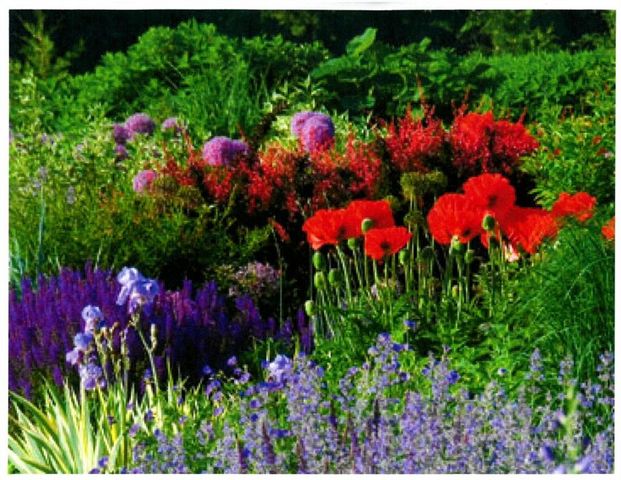 a view of a city and green space